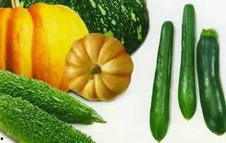 大冬吃瓜,一场别开生面的冬日盛宴 第2张 大冬吃瓜,一场别开生面的冬日盛宴 第2张